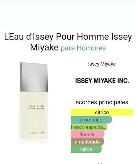 Perfume Issey Miyake L'Eau d'Issey Pour Homme Eau de Toilette 200ml, foto 4